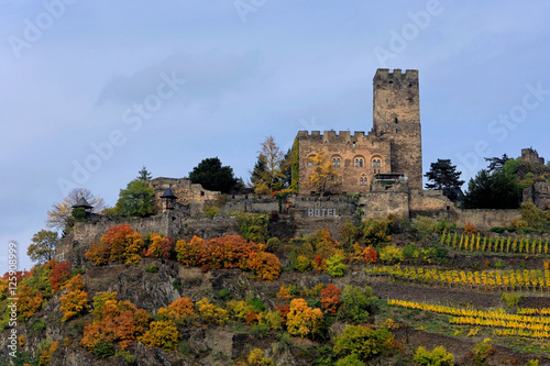 Burg Gutenfels  photo