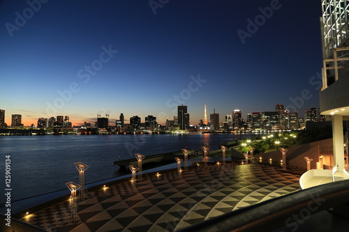 night view of TOKYO bay