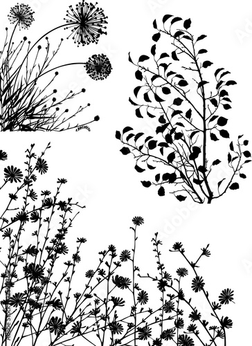 Garden series
