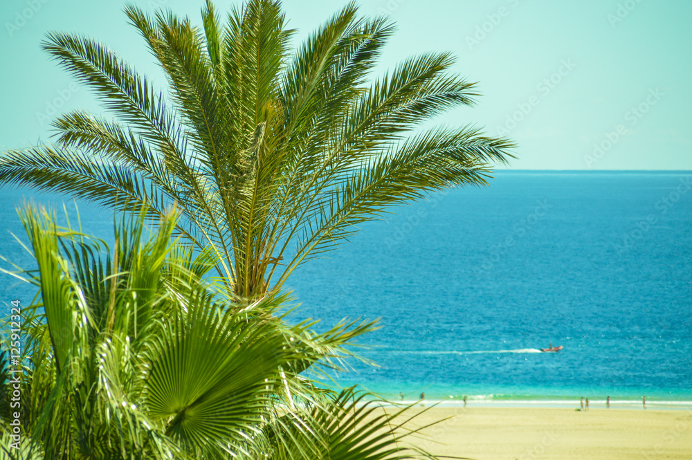 Fototapeta premium Strand auf Fuerteventura