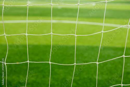 Goal net with green grass field