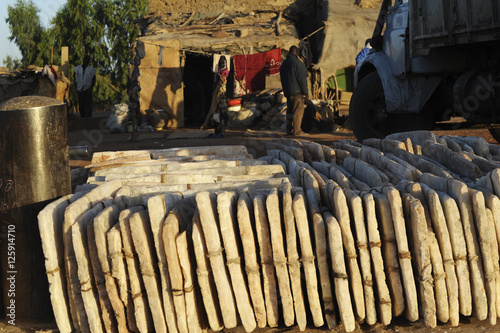 salt transport, timbuktu