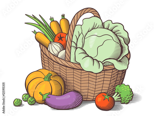 Basket with vegetables. Stylized colored vector illustration. Cabbage, pumpkin, eggplant, tomatoes, onion, carrots, broccoli, brussels sprouts