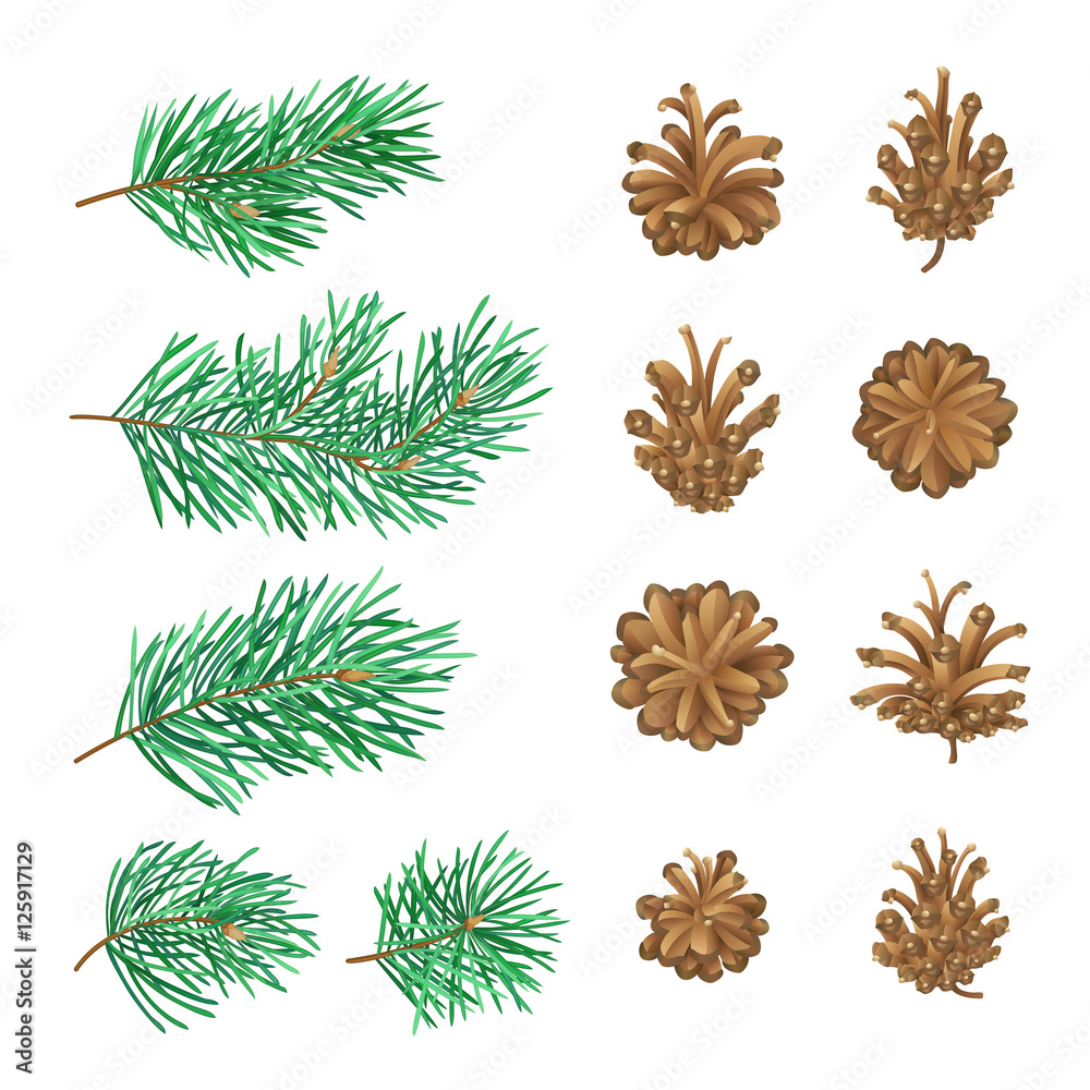 High detailed pine cones and branches with needles. High detailed pine cones and branches with needles.