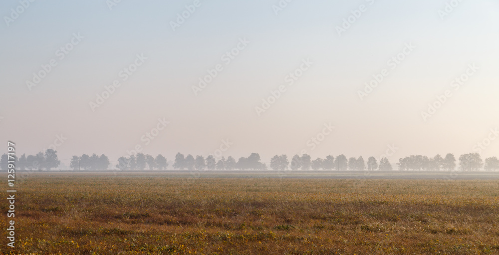 Morning in the Italian province of Emilia Romagna, a field in the rays of dawn