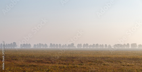 Obraz na płótnie Morning in the Italian province of Emilia Romagna, a field in the rays of dawn w salonie