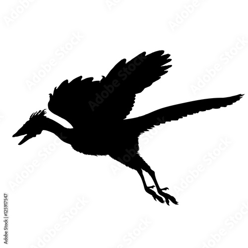old fossil bird Archaeopteryx. Black and white vector illustration
