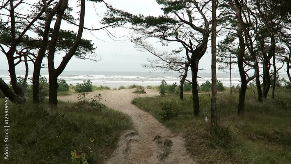 Landscape on the beach of Prora (Rugen Island) Germany. Autumn time. stormy weather. Landscape on the beach of Prora (Rugen Island) Germany. Autumn time. stormy weather.