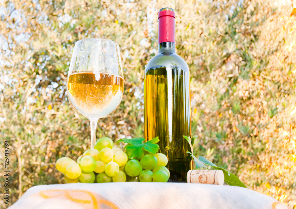 Obraz premium White wine outdoors
