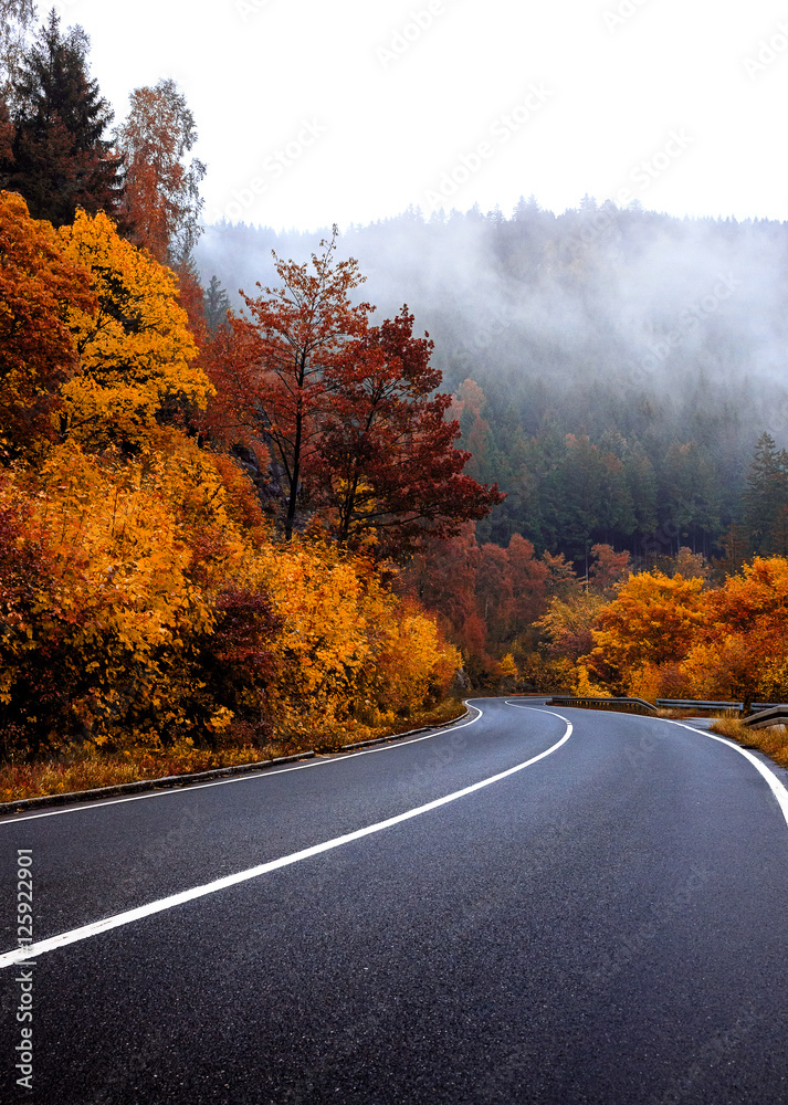 Herbstliche Straße im Harz