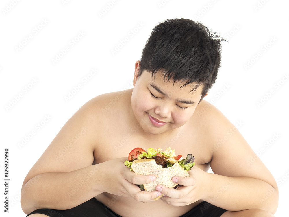 A boy is happily looking at sandwich isolated over white A boy is happily looking at sandwich isolated over white
