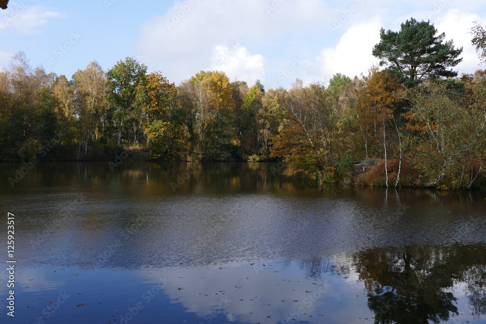 See im Herbst See im Herbst