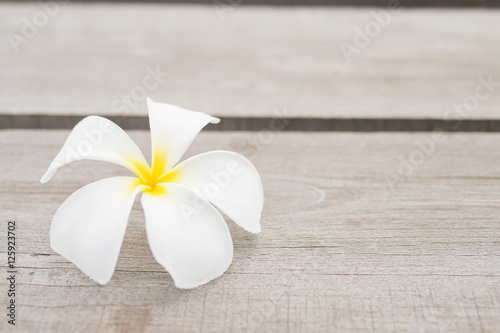 White plumeria on wooden background