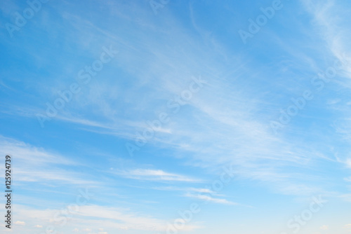 Fototapeta Naklejka Na Ścianę i Meble -  Light clouds in the sky