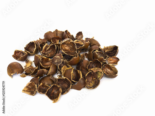 Chestnut peel, a traditional herb ingredient, isolated over white