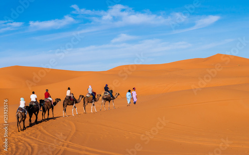 Karawane in den D  nen der Sahara bei Merzouga  Erg Chebbi   Marokko