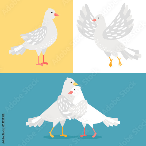 Set of white pigeons