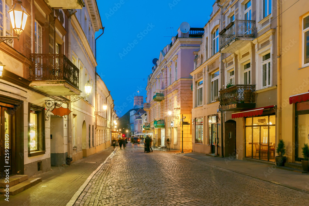Vilnius. Night Street.