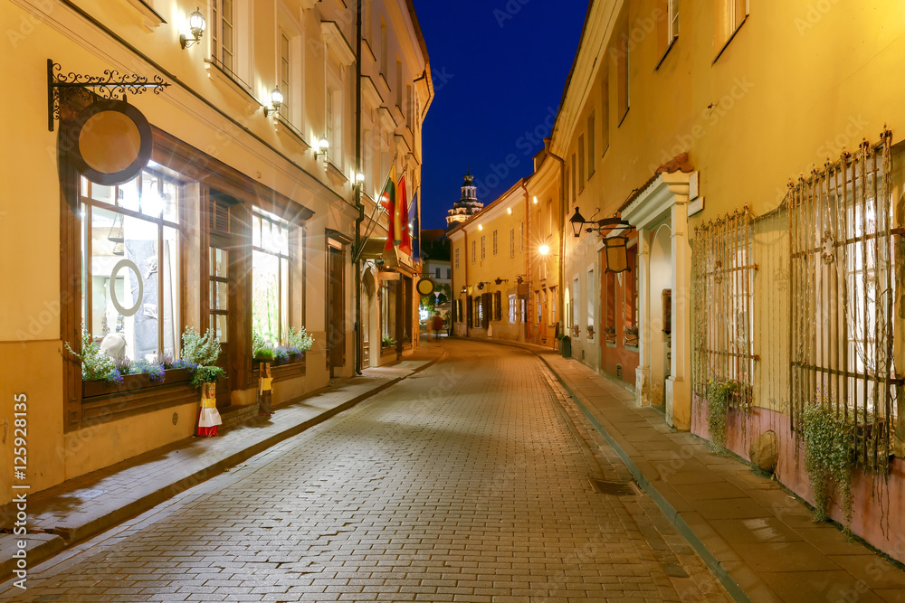 Vilnius. Night Street.