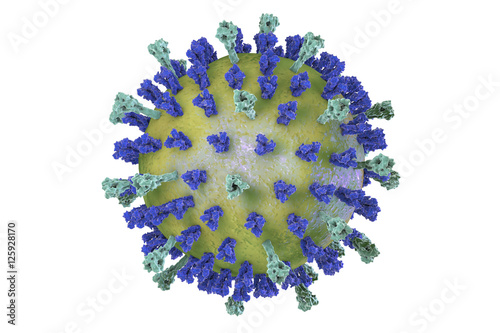 Respiratory syncytial virus, 3D illustration which shows structure of virus of two types of surface spikes. One of viruses which causes common cold