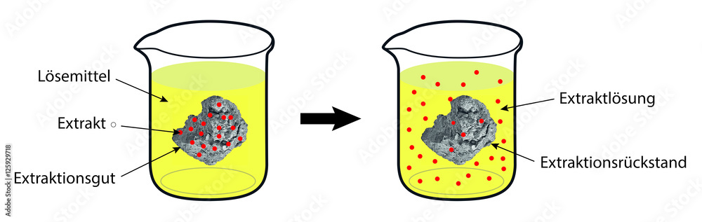 Schema der Fest-Flüssig-Extraktion im Becherglas Stock Illustration