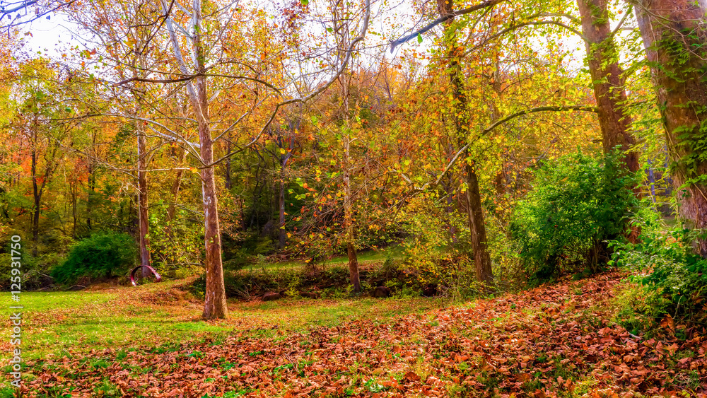 Obraz premium Travel, Ohio