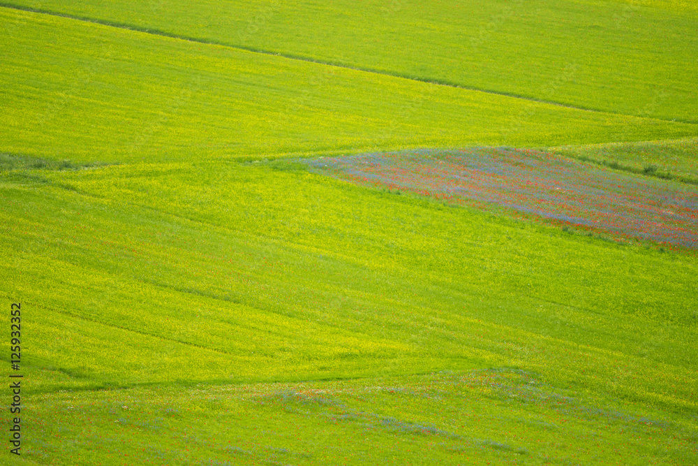 Castelluccio di Norcia