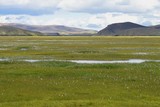 Feuchtgebiet im Hochland (Island)