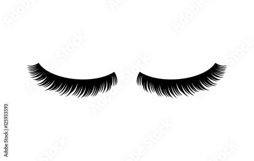 Eyelashes vector illustration