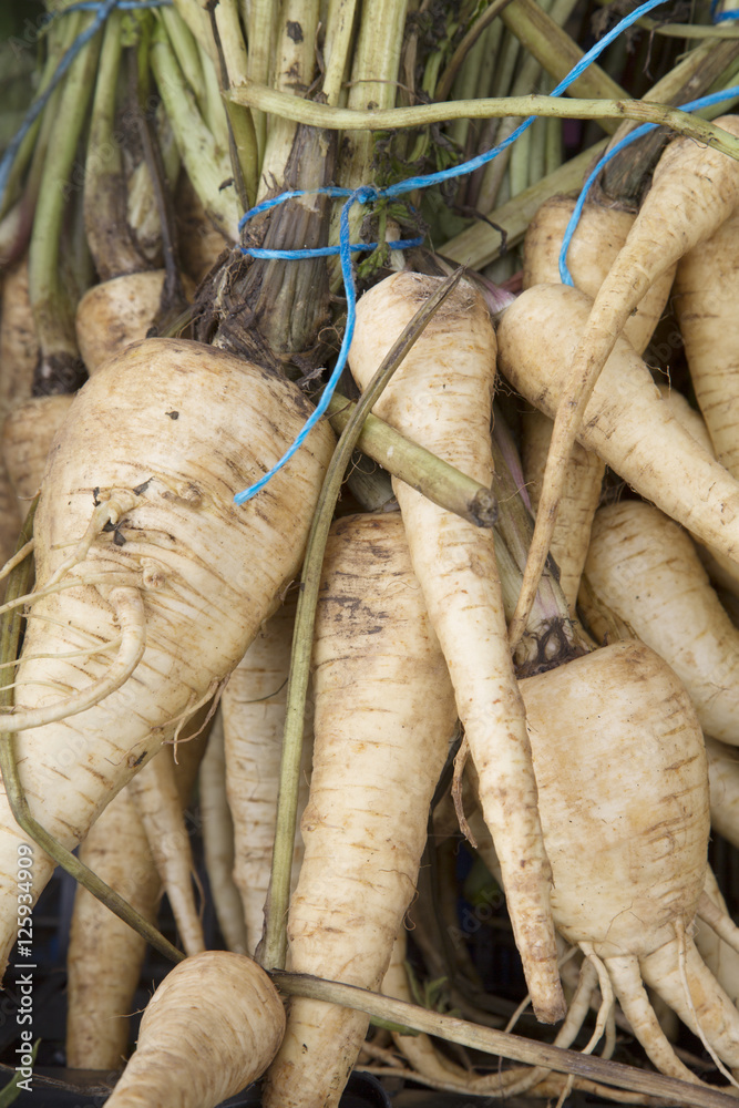 Close Up of Parsnip Vegetable Background Close Up of Parsnip Vegetable Background