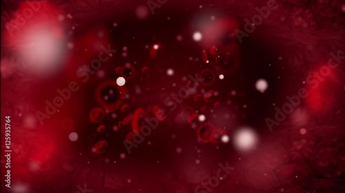 Blood cells in vein - loop 3D animation. Medical loop background