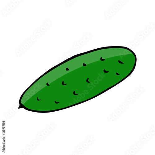 cucumber color scetch. vector