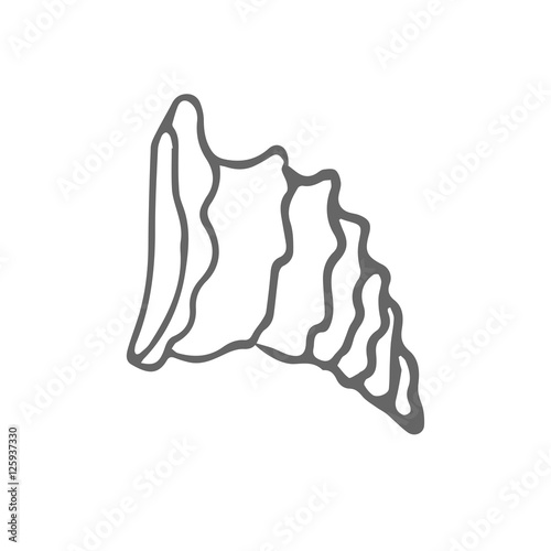 small shell scetch. vector