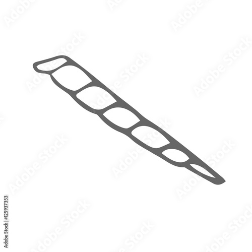 long shell scetch. vector