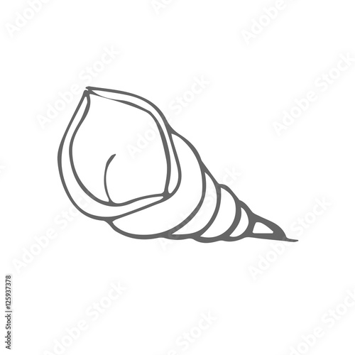 shell scetch. vector
