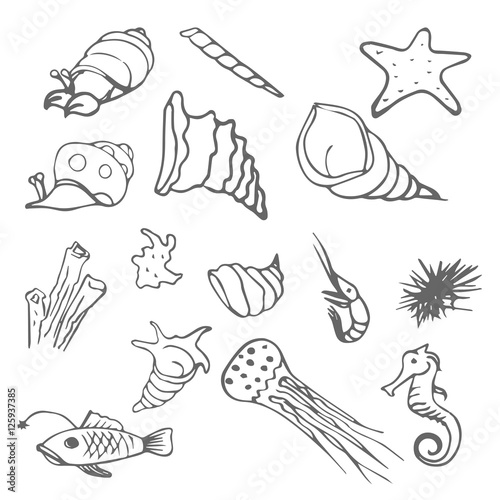 sea wild life scetch. vector