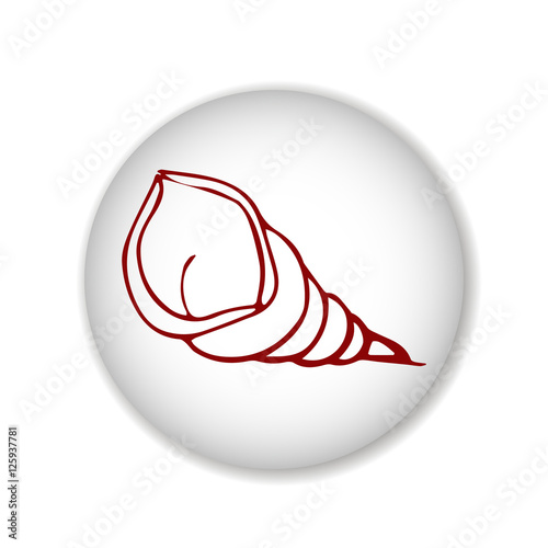 shell scetch. vector