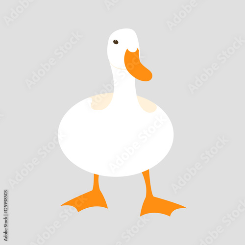 duck vector illustration style Flat