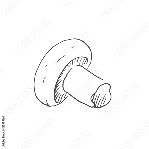 champignon scetch. vector