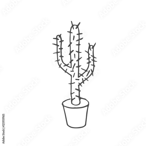 cactus scetch. vector