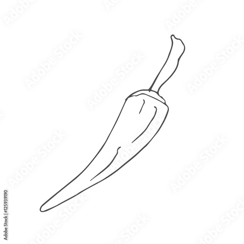 chili scetch. vector
