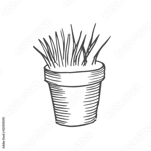 grass in a pot scetch. vector