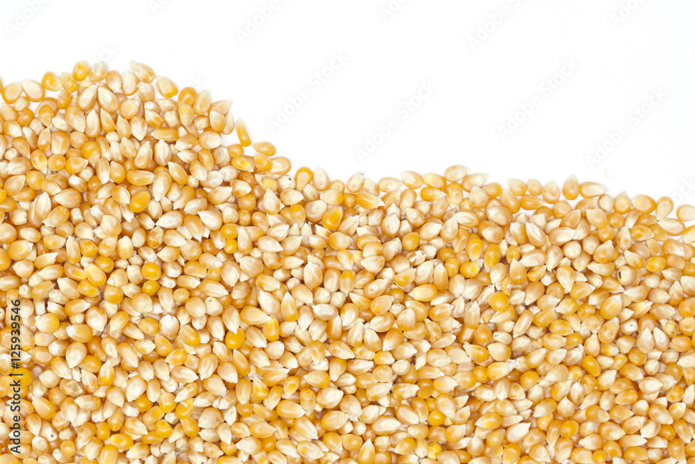 corn corn