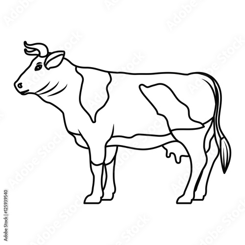 Cow icon. Livestock animal life nature and fauna theme. Vector illustration