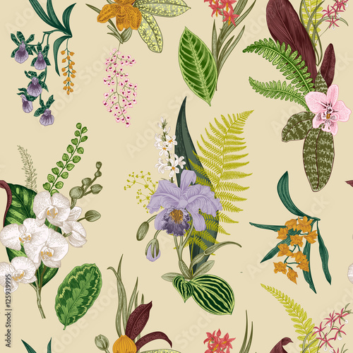 Vector seamless vintage floral pattern. Exotic orchid and leaf. Botanical classic illustration. Colorful