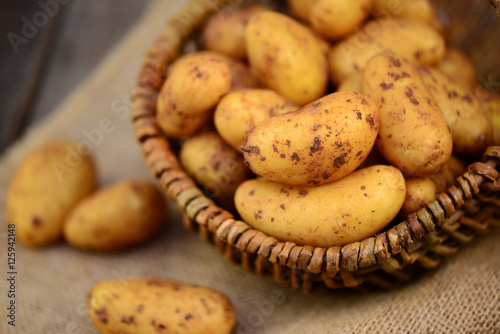 Fotografía Kartoffeln
