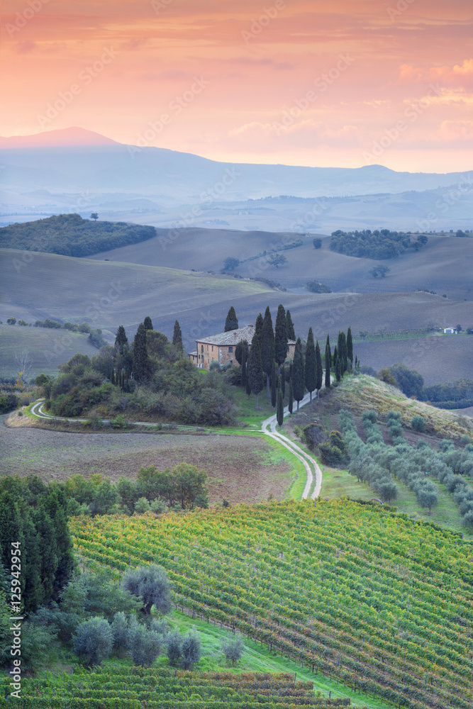 Obraz premium early morning in Tuscany vally