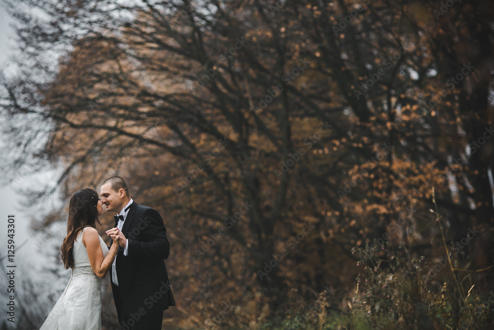 happy bride and groom posing in the autumn forest happy bride and groom posing in the autumn forest