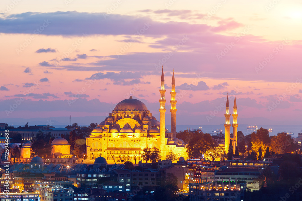 Fototapeta premium The historic center of Istanbul at sunset. Turkey.