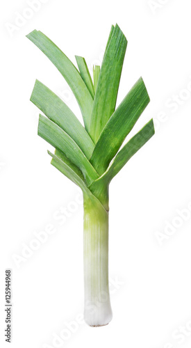 Leek on white background